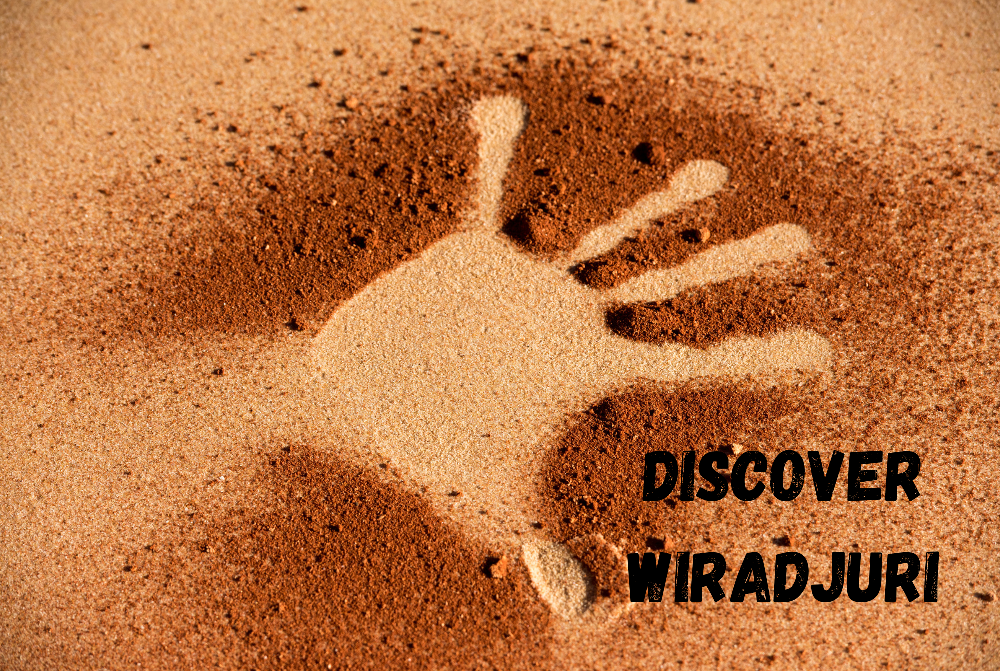 Discover Wiradjuri course-91126